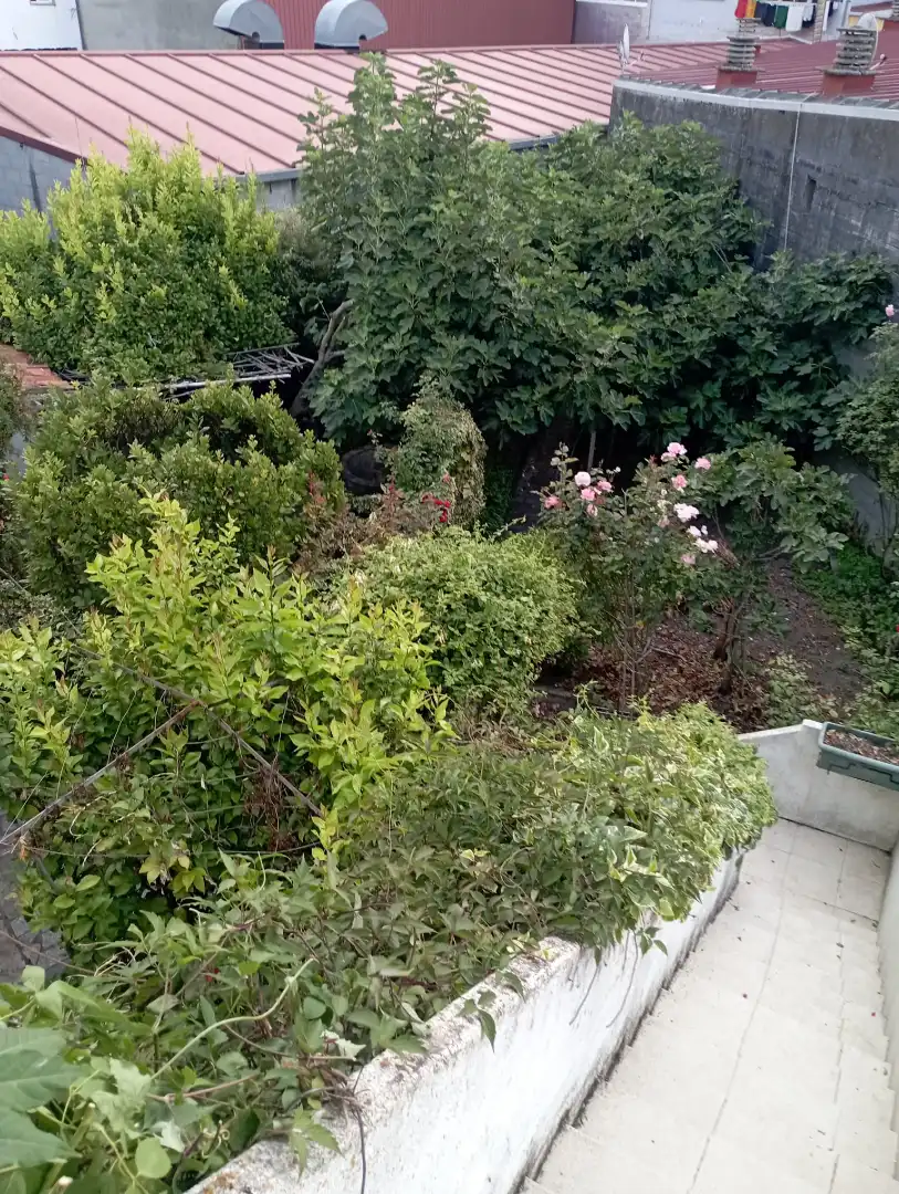 Casa amb terrassa en venda a Praza Maior, imagen 19