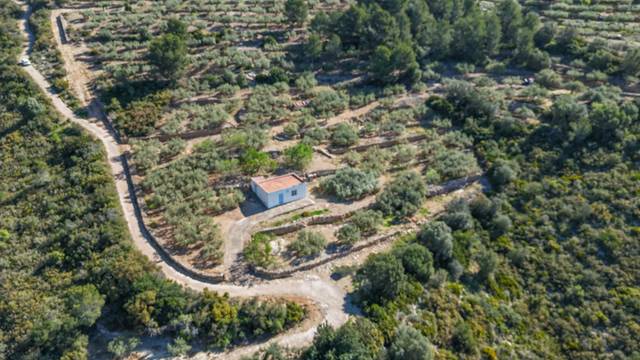 Finca rústica en Venta en N/A en Alcanar
