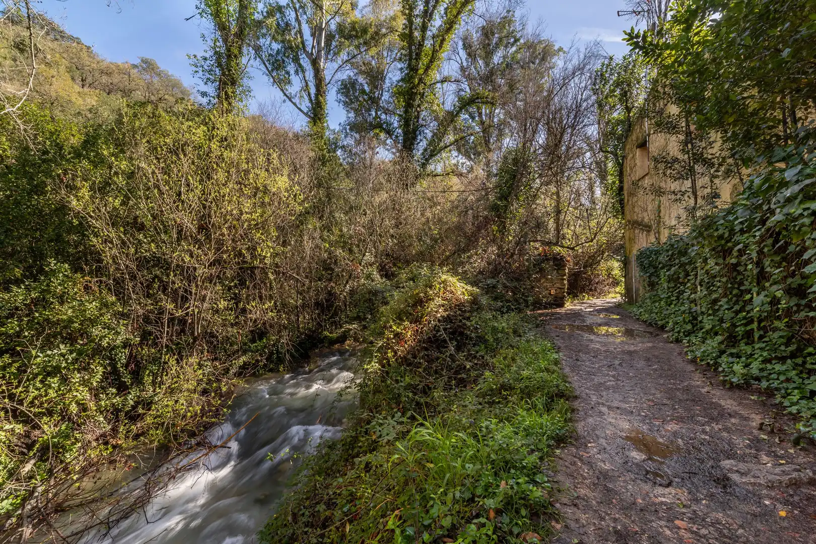 Casa con piscina en venta en Grazalema, imagen 8