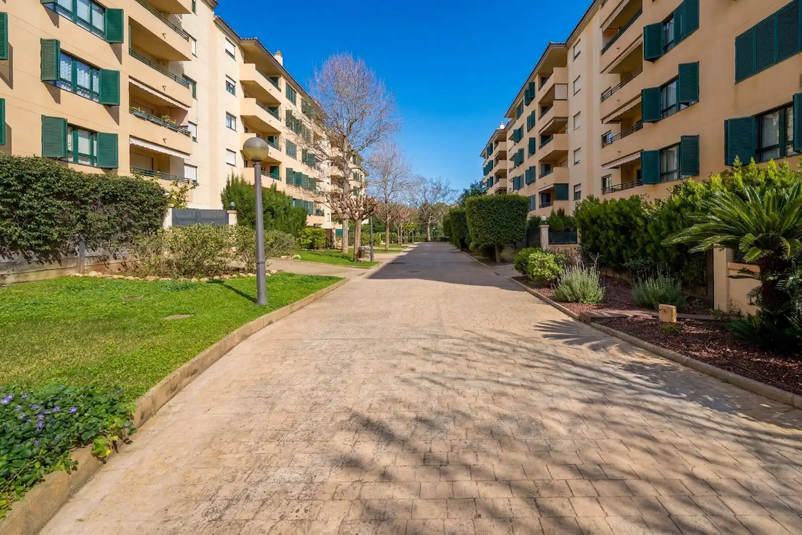 Vista exterior de Pis en venda en  Palma de Mallorca amb Aire condicionat, Calefacció i Jardí privat