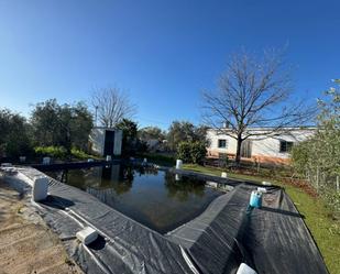 Swimming pool of Residential for sale in Morón de la Frontera