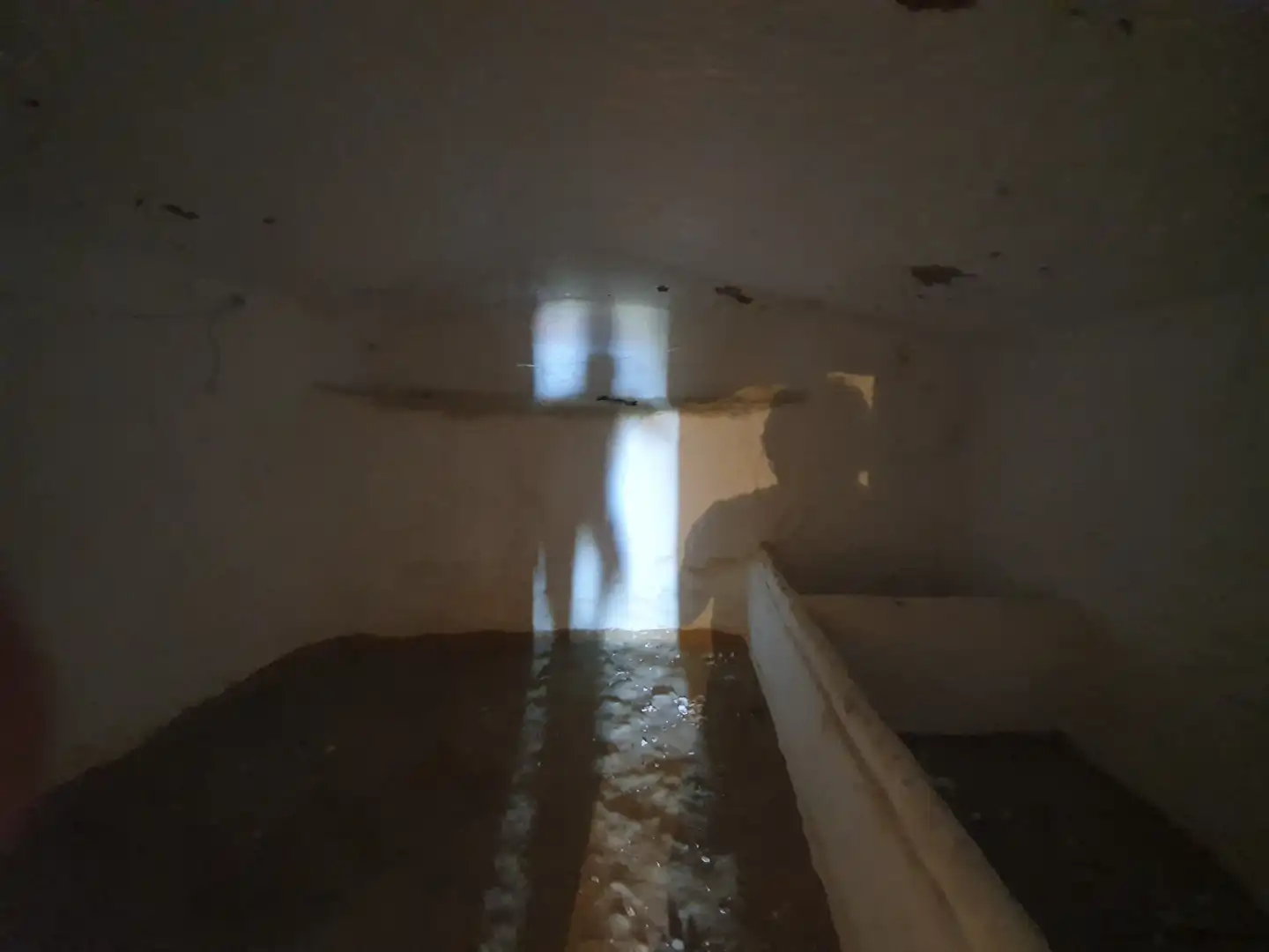 Casa o xalet en venda en Guadix