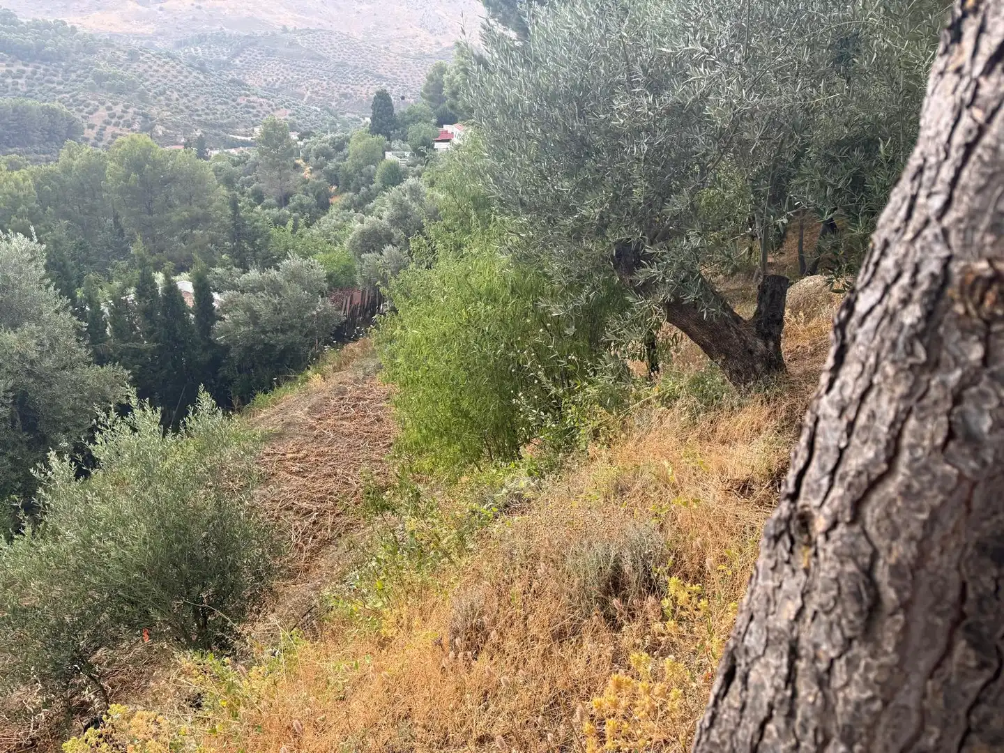 Country house zum Verkauf in Jaén mit Privatgarten, Terrasse und Schwimmbad