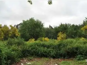 Terreny residencial en venda a Lugar Cons, imagen 9