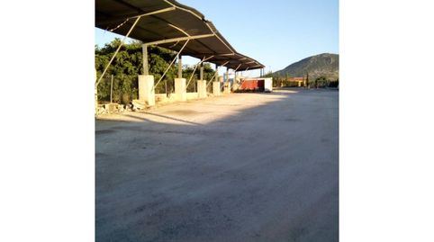 Chalet rústico en venta en Morón de La Frontera, imagen 3