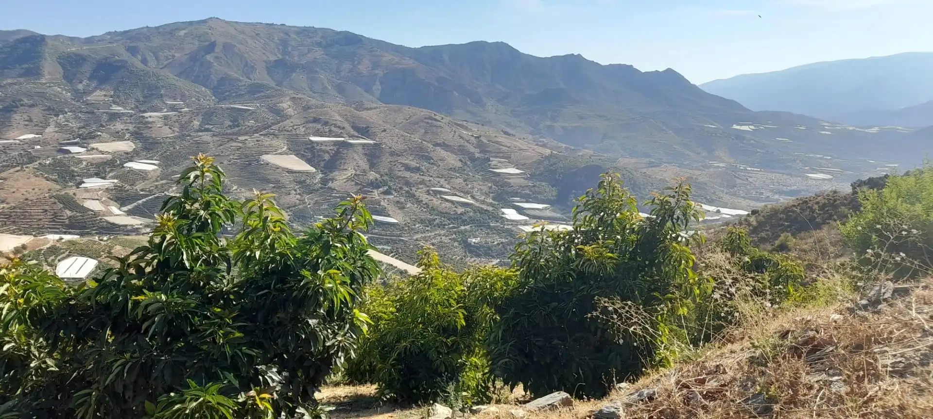 Terreno rustico in vendita a Ítrabo, imagen 5