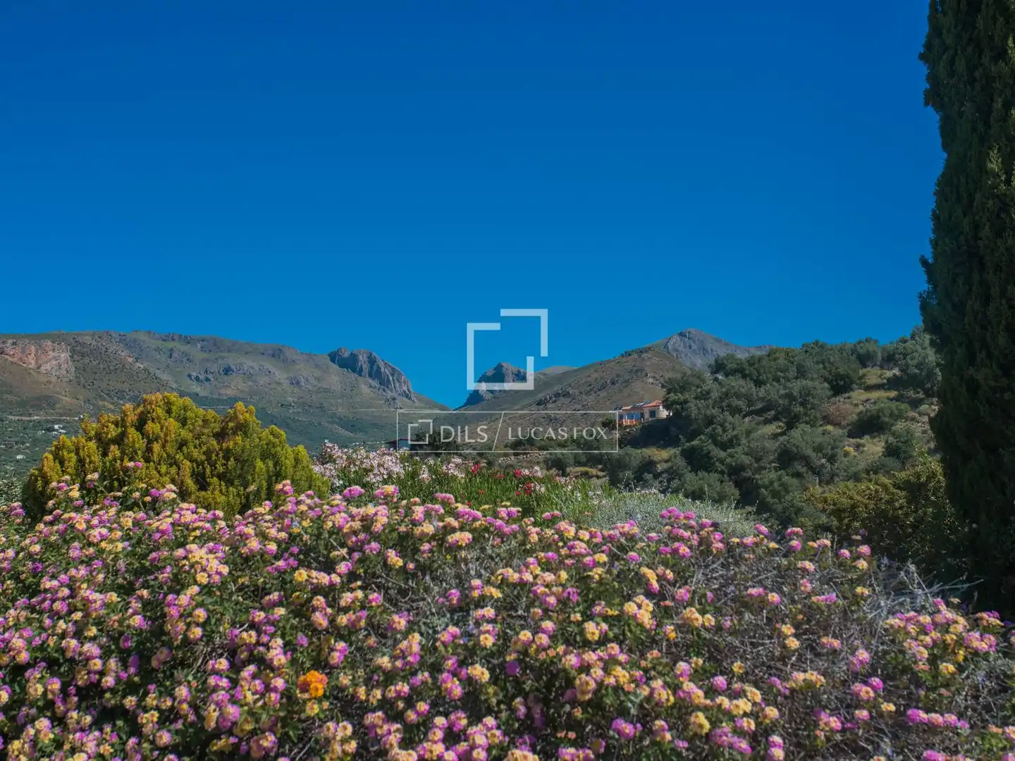 Casa rustica con terrazza in vendita a Alcaucín, imagen 8