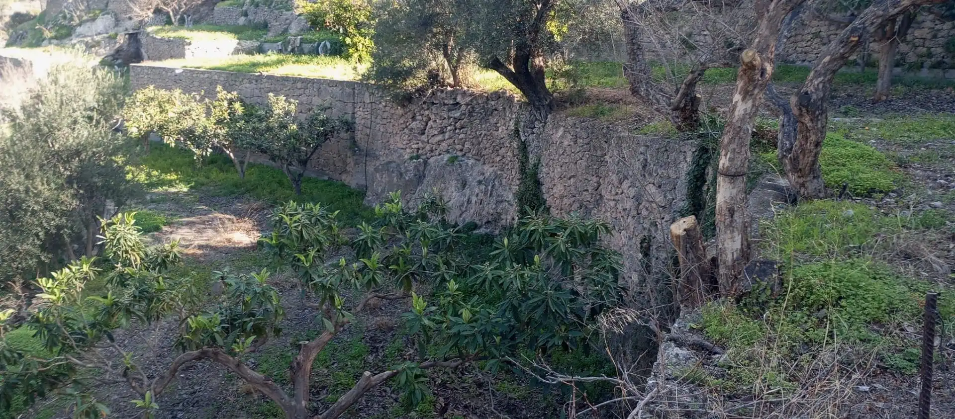 Casa rústica amb jardí en venda a Vélez de Benaudalla, imagen 11