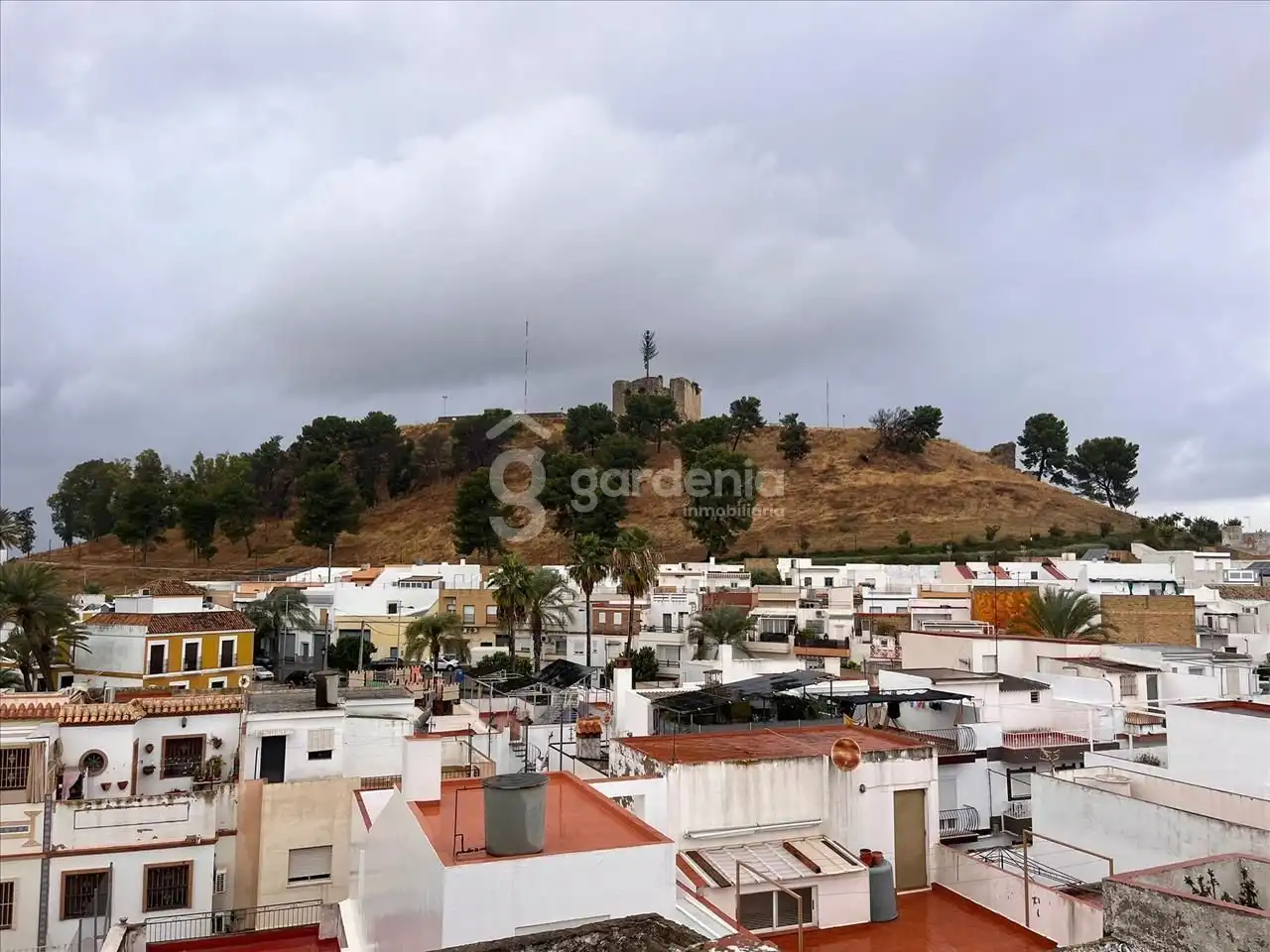 Exterior view of Houses for sale in Morón de la Frontera