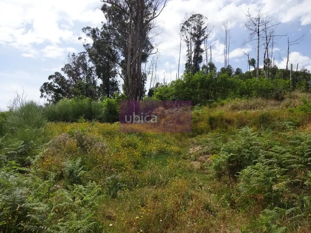 Lands and plots for sale in Salceda de Caselas, imagen 7