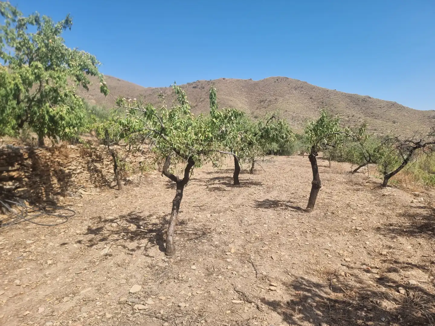 Terreno en venta en Senés
