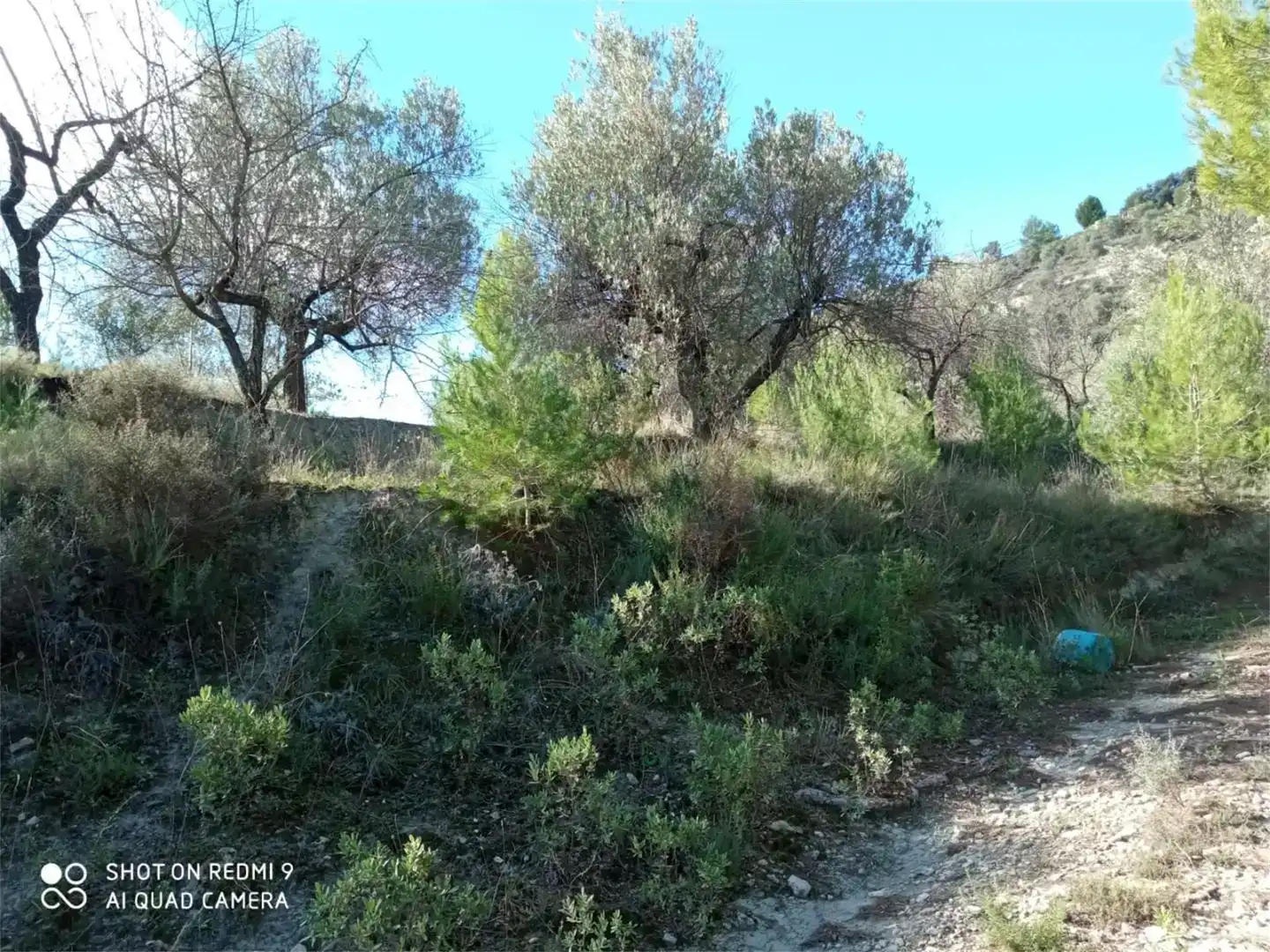 Terreno en venta en Balones