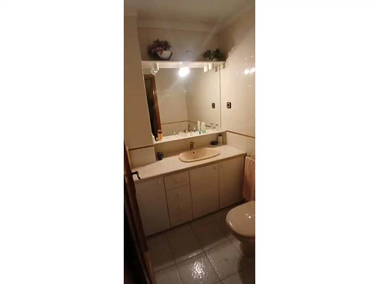 Houses for sale in Avenida Abad Marcet, Zona Esportiva