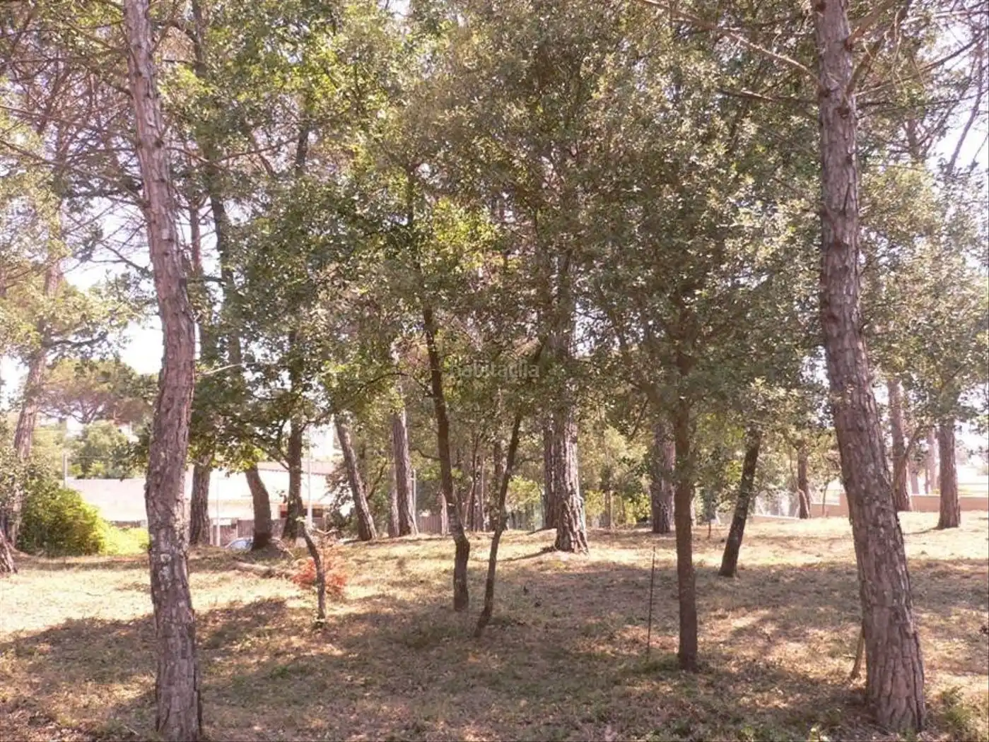 Terreno residencial en venta en Avinguda Catalunya 142, imagen 6