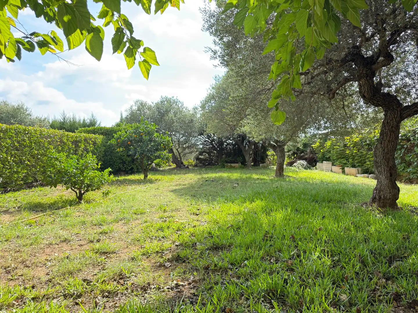 Houses for sale in Botarell, Tarragona