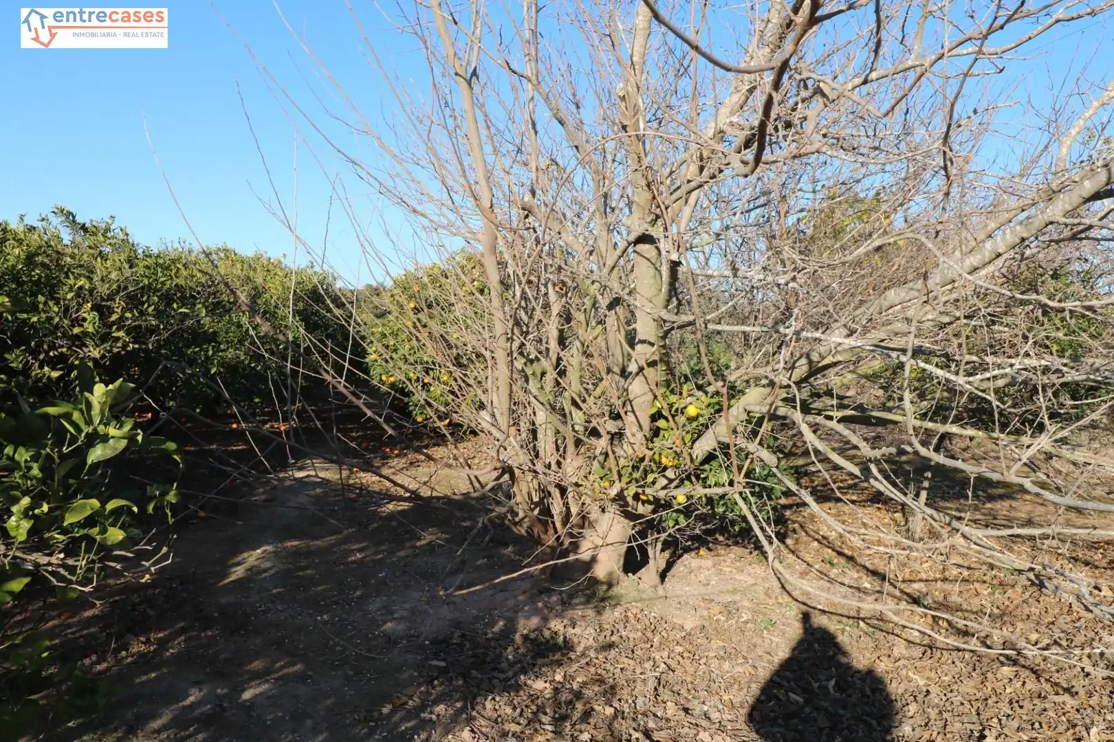 Rural land for sale in Canet d'En Berenguer, imagen 18