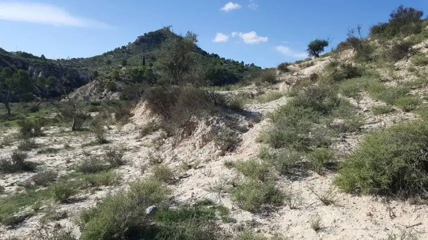 Finca rústica en venta en Ricote