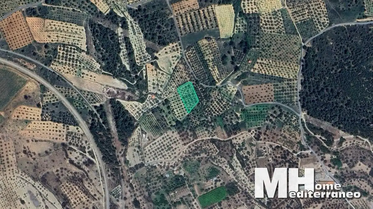 Terreno rustico in vendita a DOMINGO POLIGONO 12 PARCELA 207, imagen 6