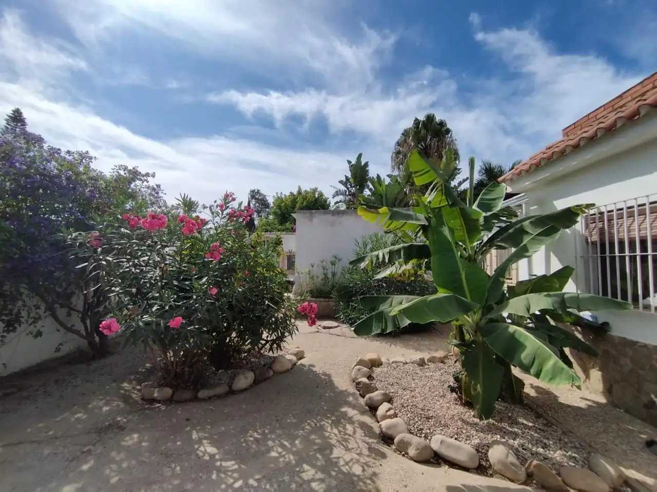 Garden of Country homes for sale in Sanlúcar de Barrameda  with Private garden, Storage room and Swimming Pool