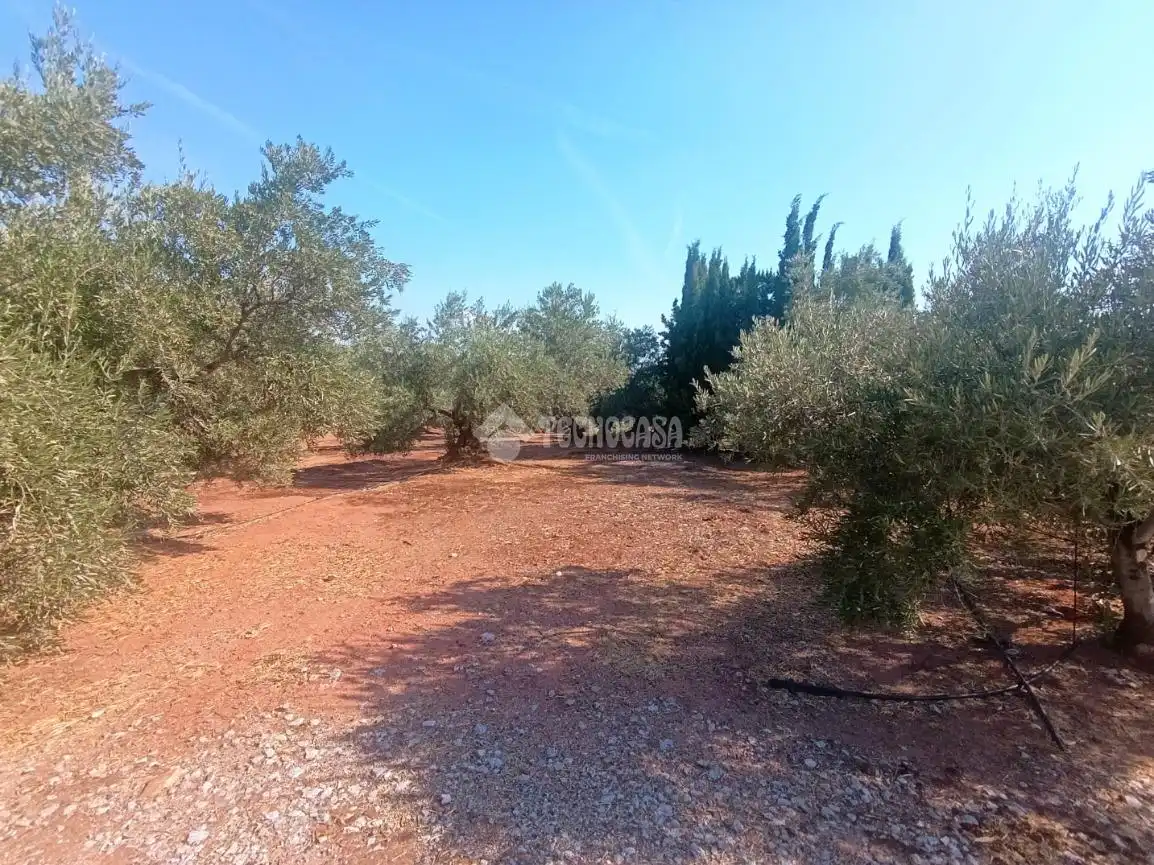 Finca rústica en venta en Vilches