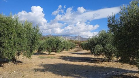Foto 3 de Terreno en venta en Gójar, Granada