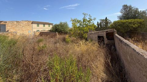 Un lugar especial para un estilo de vida especial proyecto de villas autorizado en Ariany. Ref. 9821, imatge 4
