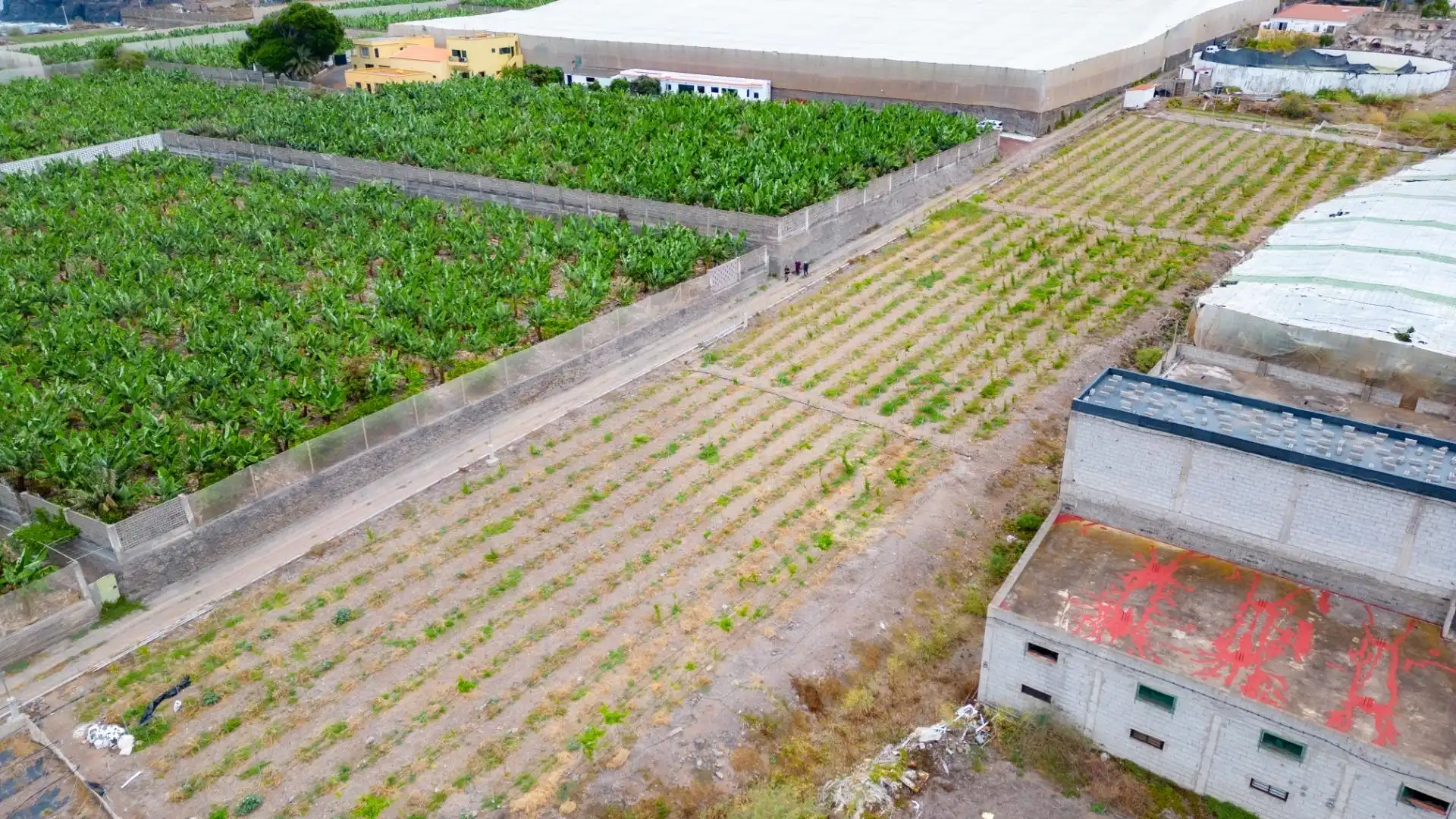 Terreno en venta en San Cristóbal de la Laguna