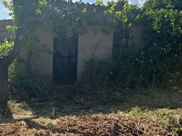 Rural land for sale in Camí de Joncadella 0, imagen 3