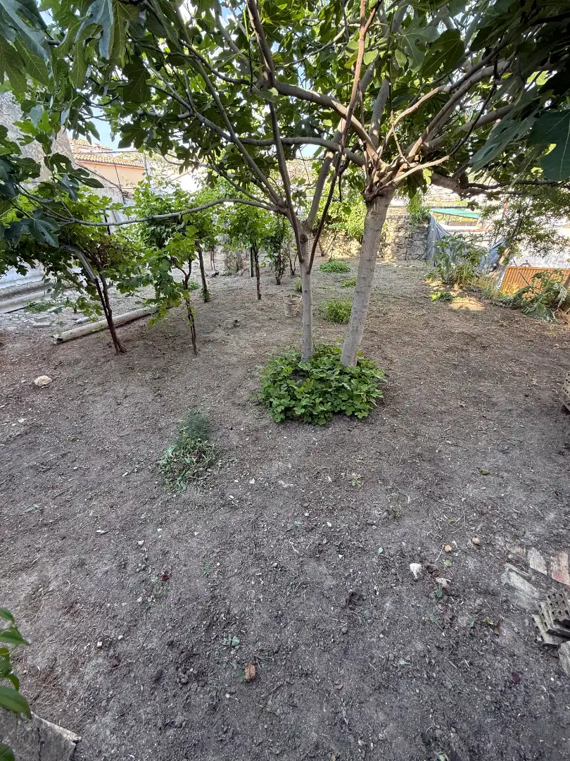House with garden for sale in Calle Abad Palomino
