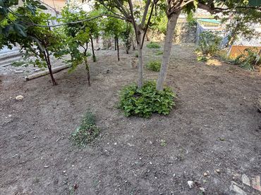 Maison avec jardin à vendre à Calle Abad Palomino