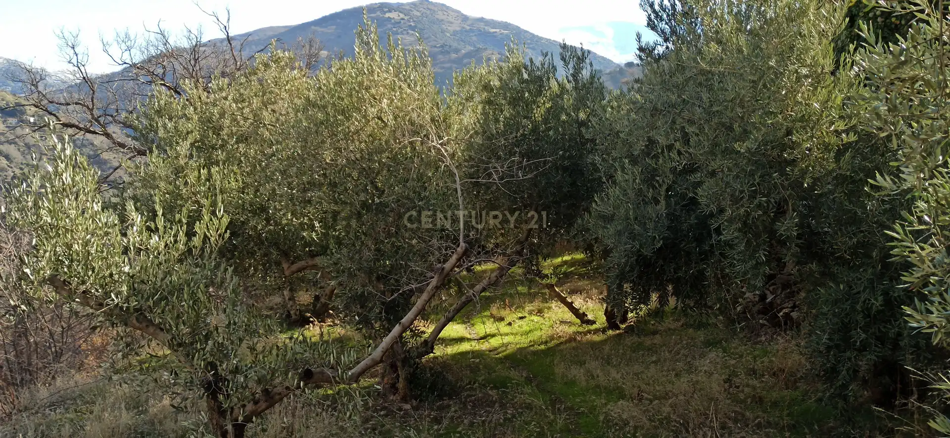 Rural land for sale in El sotillejo , Guejar sierra 178, imagen 9