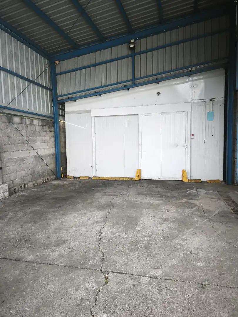 Parkplatz von Fabrikhallen zum Verkauf in Langreo