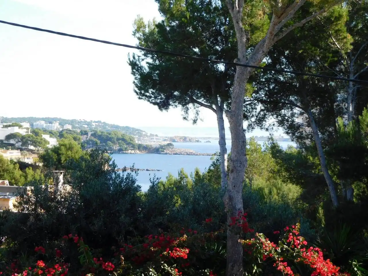Garten von Residential zum Verkauf in Calvià