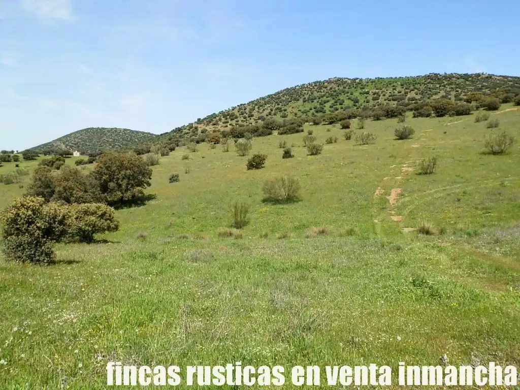 Rural land for sale in Calzada de Calatrava, imagen 3