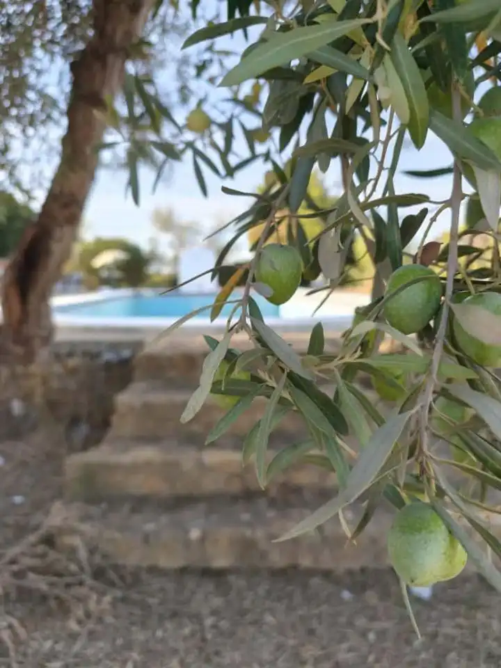 Piscina de Casa o chalet en venta en Carmona