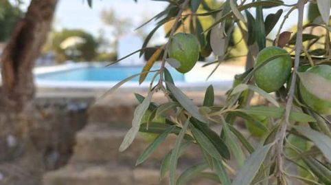 Foto 2 de Casa o chalet en venta en Carmona, Sevilla