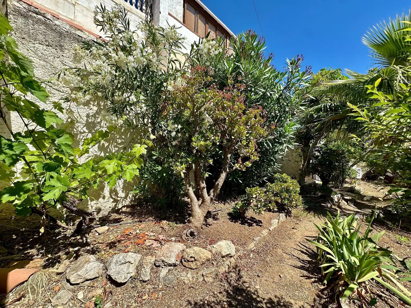 Maison avec jardin à vendre à miramar alto 11, imagen 60