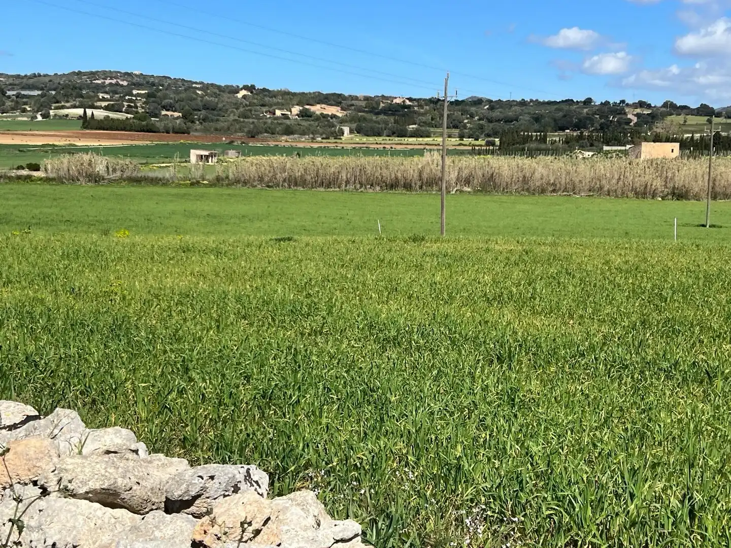 Casa rústica con jardín en venta en Manacor Centre, imagen 7