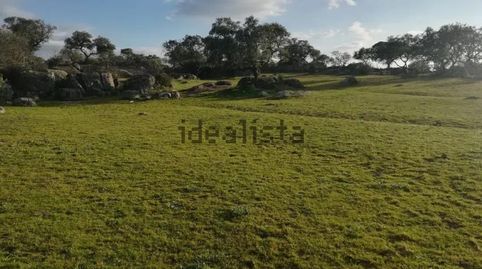 Foto 3 de Finca rústica en venda a Villar del Rey, Badajoz