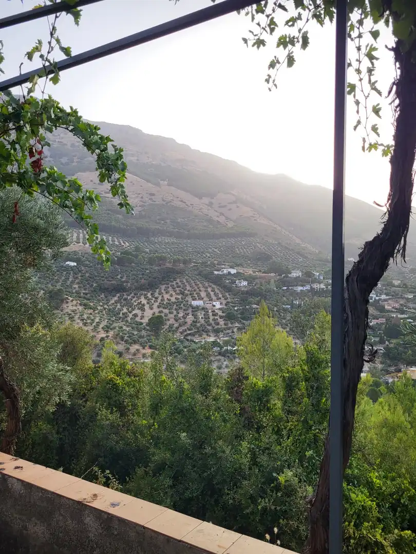Vista exterior de Finca rústica en venta en Jaén