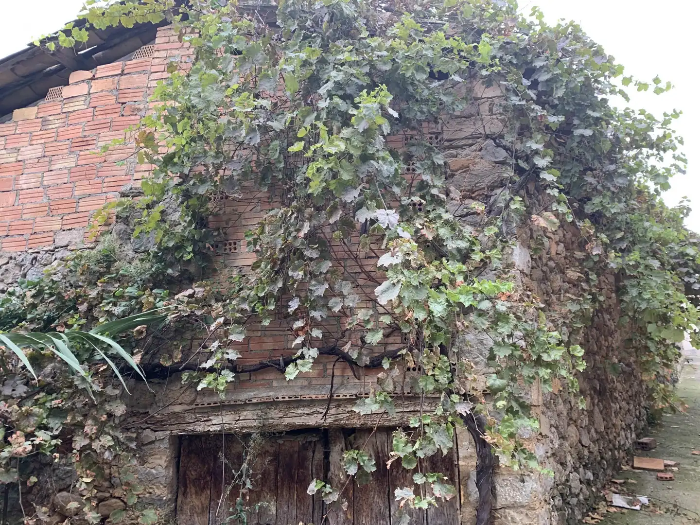 Vista exterior de Casa o xalet en venda en Conca de Dalt