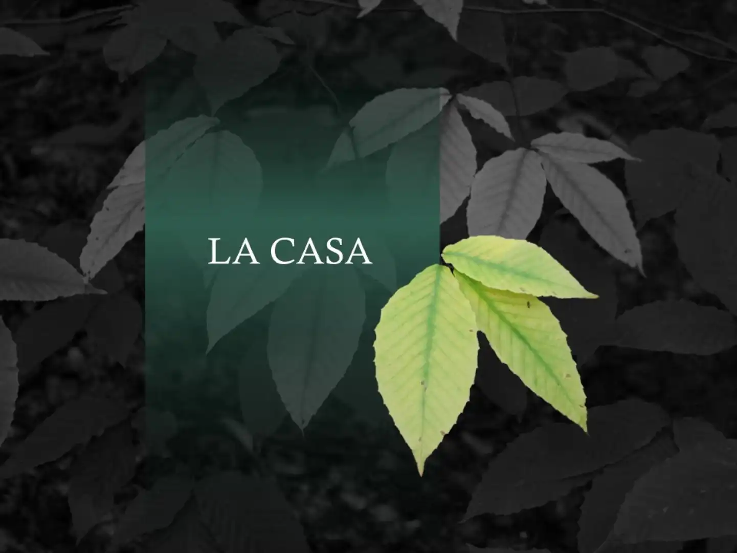 Vista exterior de Casa o xalet en venda en Hernani amb Calefacció, Jardí privat i Piscina
