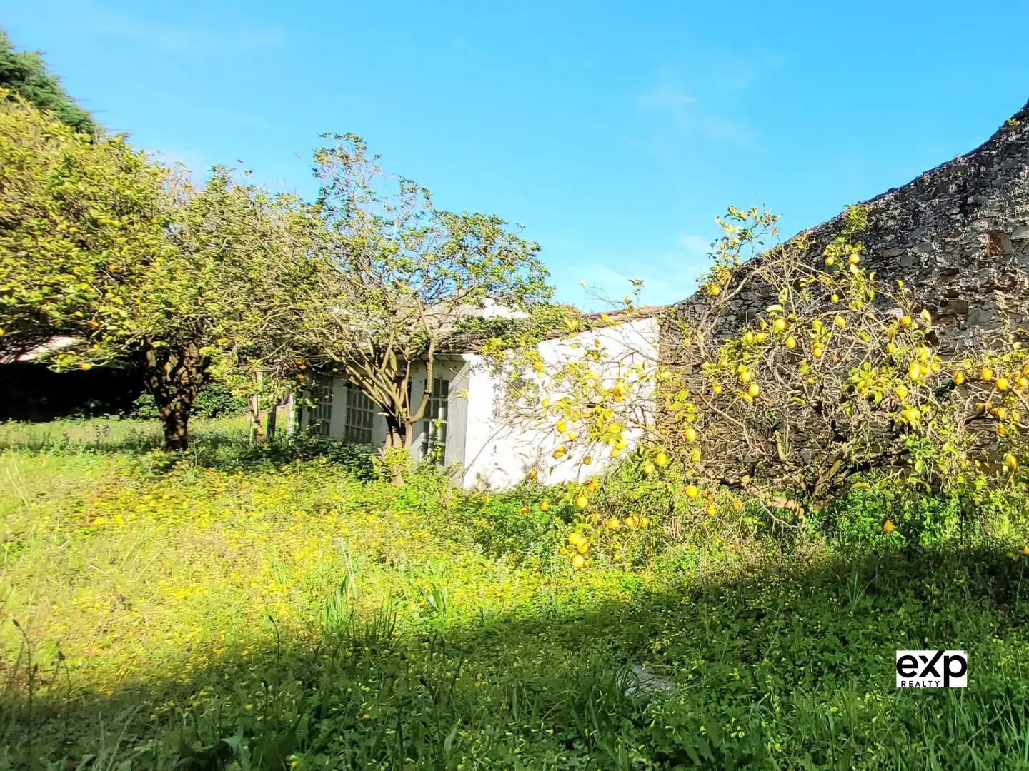 Haus mit Terrasse zum Verkauf in RAMON GONZALEZ, imagen 7