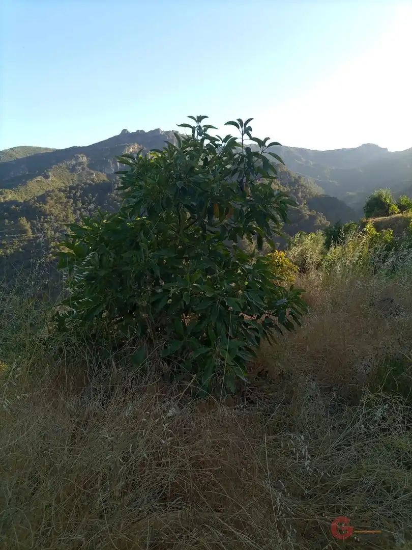 Terrenys i solars en venda a Los Guájares, imagen 6