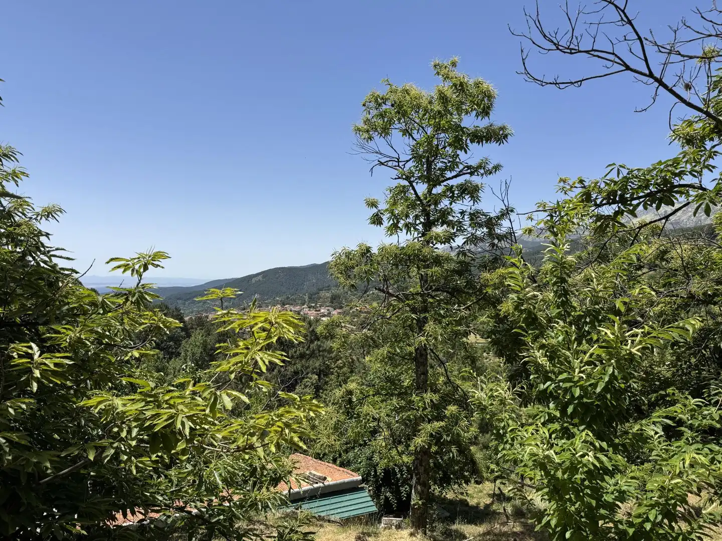 Finca rústica en venta en El Arenal  con Jardín privado