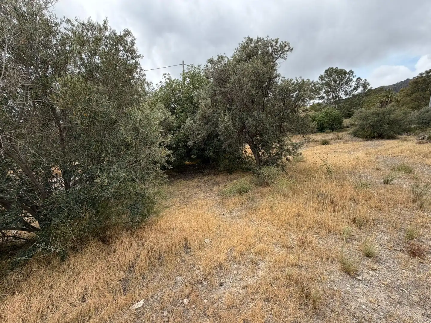 Finca rústica en venta en Lorca con Jardín privado, Terraza y Piscina