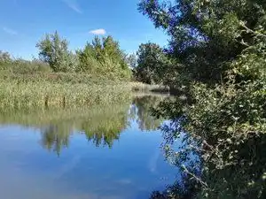 Vista exterior de Terreno en venta en Piedrabuena