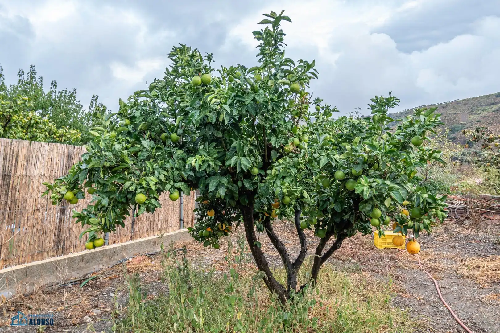 Finca rústica en venda en Sorvilán