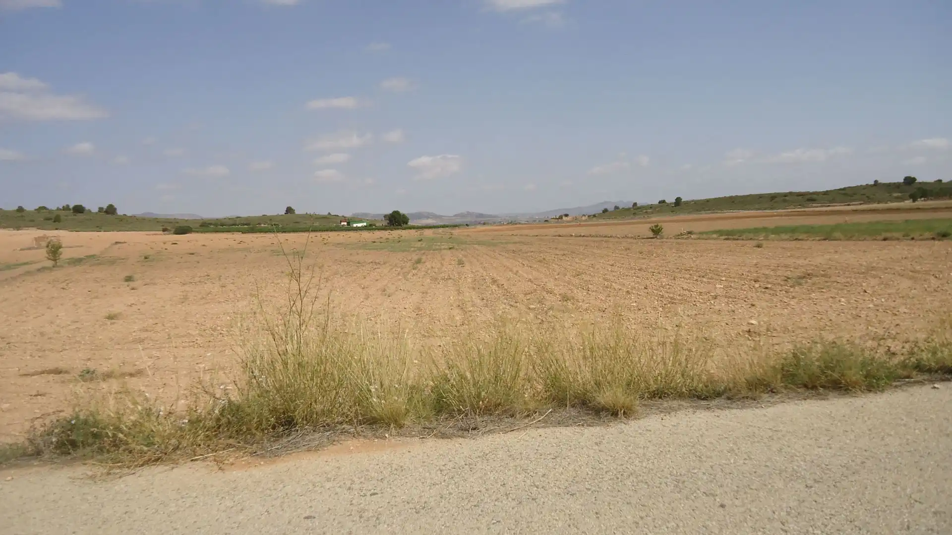 Terreni e lotti in vendita a Yecla, imagen 3