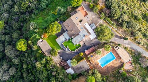 Gran finca con 3 viviendas, piscina y una gran parcela en Alella Coma Fosca  Can Comulada, imatge 3